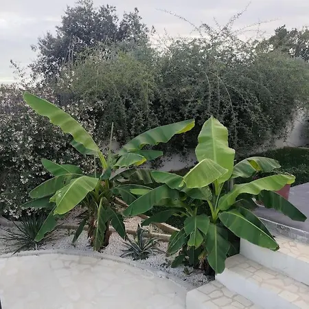 דירה Partie De Moderne Avec Acces Piscine Villeneuve (Alpes-de-Haute-Provence)